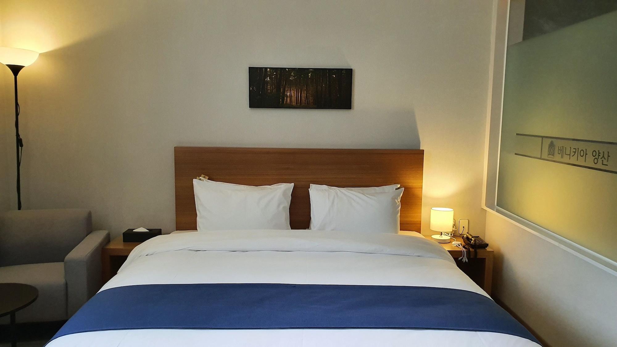 Benikea Hotel Yangsan Extérieur photo