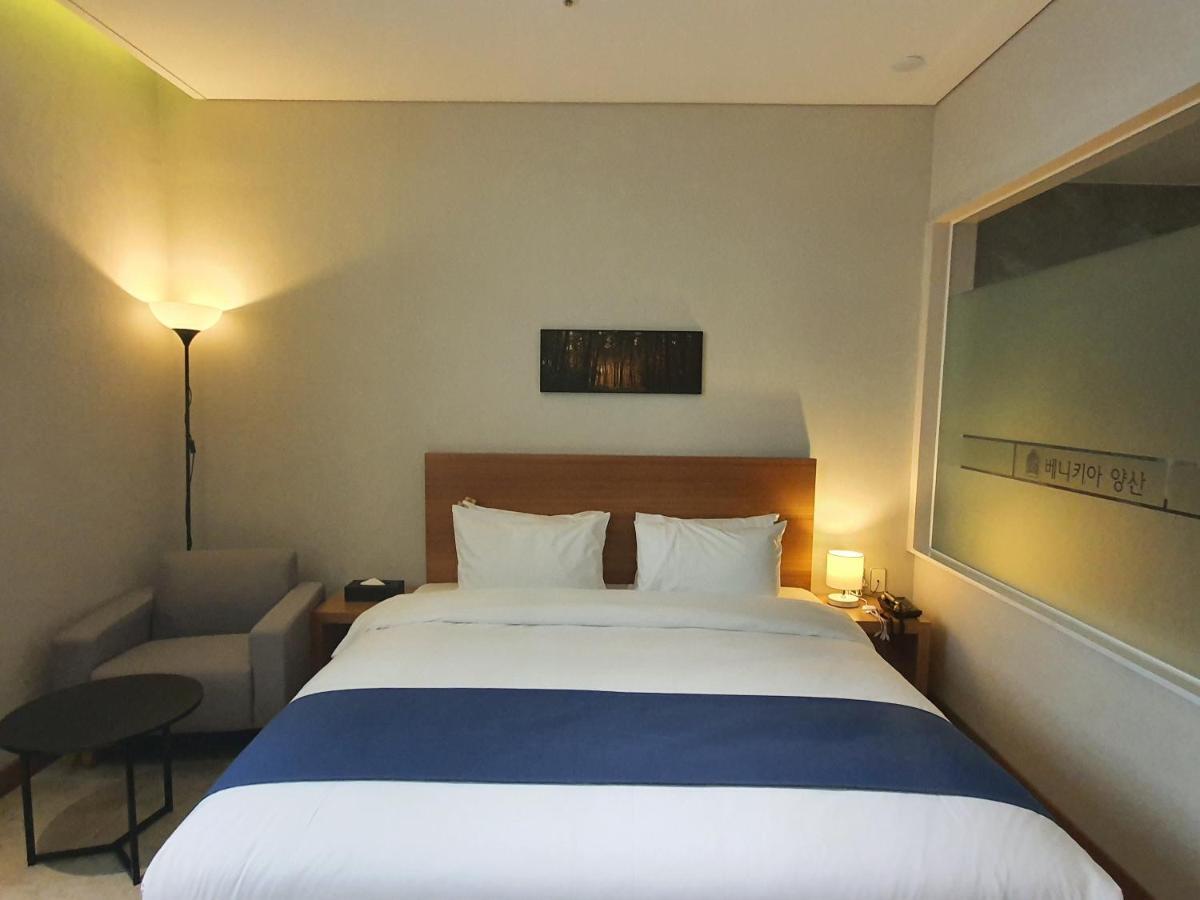 Benikea Hotel Yangsan Extérieur photo